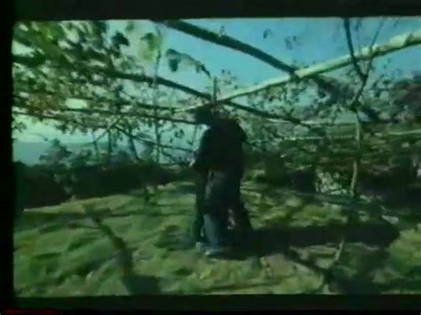 La Nymphomane Lubrique French Vintage Porn Xhamster