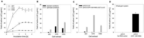 Crpv Igr Ires Mediated Translation In Coupled Eukaryotic Cell Free