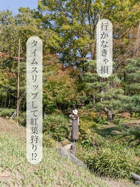 【ここ行かなきゃ損】江戸時代にタイムスリップして紅葉狩り！？ あず🧸食旅きろく𓂃𓈒 ︎が投稿したフォトブック Lemon8