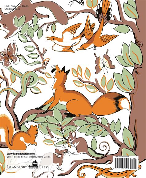 Animal Hide And Seek 1