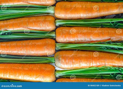 Carrot Texture for Background Stock Image - Image of dieting ...