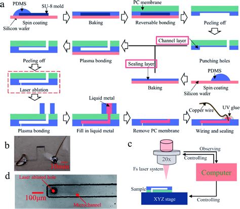 Fabrication Of A Thin Pdms Film With Complex Liquid Metal Electrodes