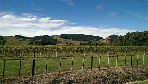 Gisborne - The Land of Surfing, Beaches, Scenery and Wine