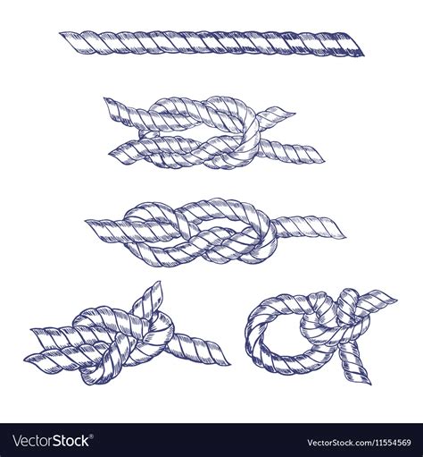 Knot Drawing