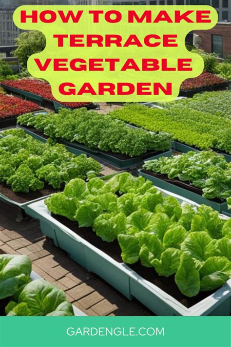 How To Make Terrace Vegetable Garden Rooftop Vegetable Garden