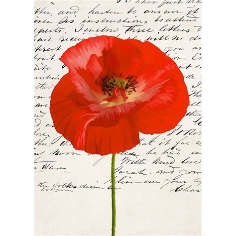 Tableau Fleurs Sur Toile Coquelicot Moderne I De Elena Dolci