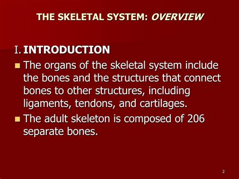 Ppt The Skeletal System Powerpoint Presentation Free Download Id