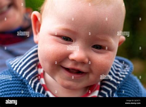 Laughing Baby Boy Months Old Model Released Stock Photo Alamy