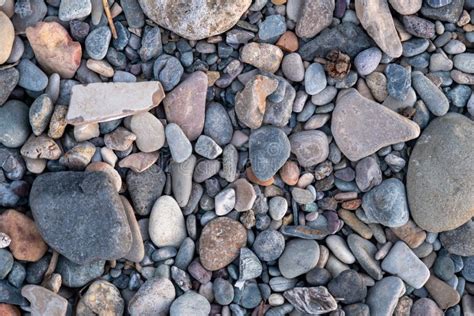 Top View Photo Of Pebbles And Stones Stock Photo Image Of Stones