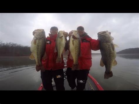 Lake Chickamauga January Bass Fishing Bass Manager The Best Bass