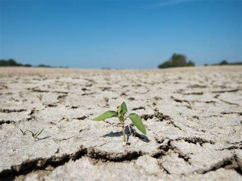 Fuerte Crisis Nos Estamos Quedando Sin Agua