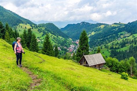 One Day Tour To Bran Castle And Hiking In Piatra Craiului National Park