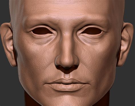 Realistic Male Head 3d Model Cgtrader