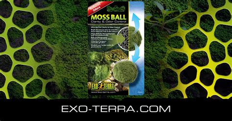 Moss Ball