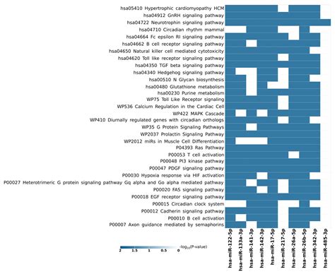 Cells Free Full Text Insights On The Biomarker Potential Of