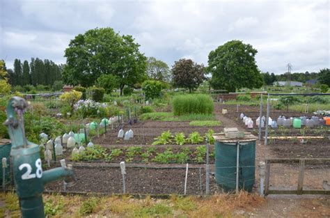 Chevigny Saint Sauveur Il Reste Des Parcelles Libres Aux Jardins Familiaux