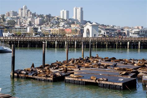 Pier Seel Wen In San Francisco Usa Info Net