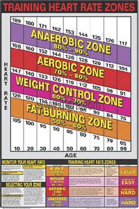 Cardiovascular Fitness TRAINING HEART RATE ZONES Professional Wall Chart Poster | eBay