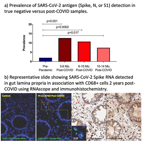 Multimodal Assessment Of Antigen Persistence In The Post Acute Phase Of