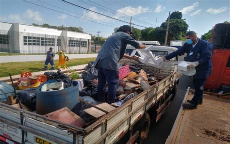 Mutirão Contra A Dengue Recolhe 42 Toneladas De Lixo E Potenciais