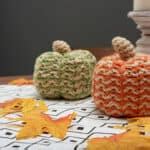 20 Cozy Crochet Patterns For Fall Daisy Farm Crafts