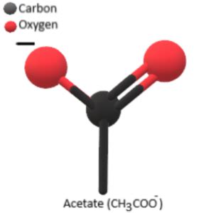 Acetate Formula - Infinity Learn