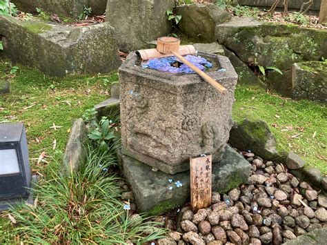 【横浜市都筑区】水琴窟ってご存知ですか？暑い夏に心がスッと清らかになる癒しの音、浄土宗 心行寺に聞きに行ってみてください。 号外net