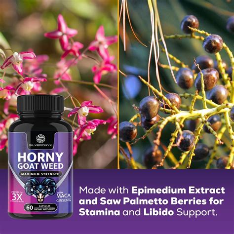 Horny Goat Weed Capsule With Maca Root Mg Supports Desire Stamina