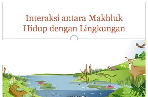 Interaksi Antara Makhluk Hidup Dengan Lingkungan Biotik And Abiotik