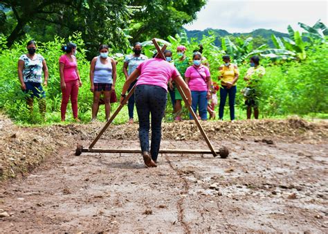 Promueven Agricultura Sostenible Y Cultivos Amigables Con El Medio