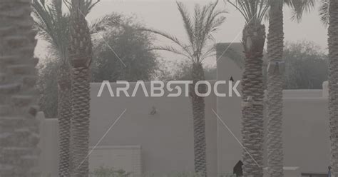 Planting Plants And Green Palm Trees The Historic Diriyah Development