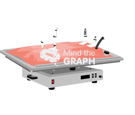 Rocking Platform Cell Culture