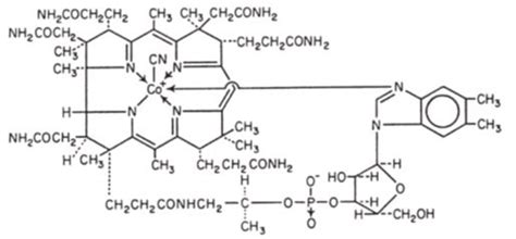 Cyanocobalamin Fda Prescribing Information Side Effects And Uses