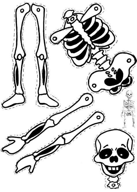 The Skeleton And Bones Are Shown In Black And White As Well As Some Other Drawings