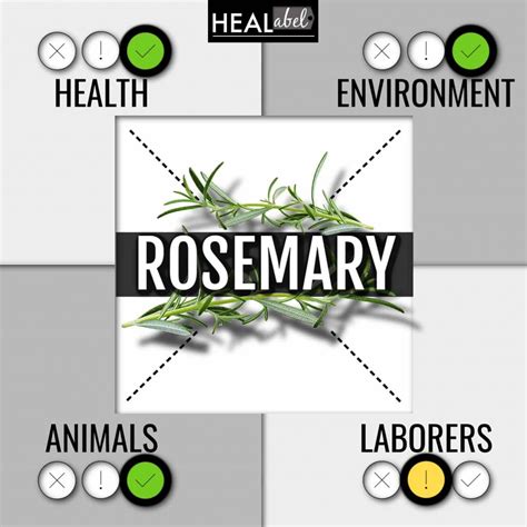 Rosemary Benefits Side Effects Low Fodmap Acidic Gluten