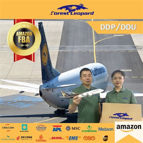 Professional Door To Door Ddp Amazon Fba Customs Clearance Free