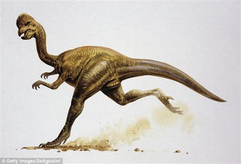 Dinosaur With Bump On Head