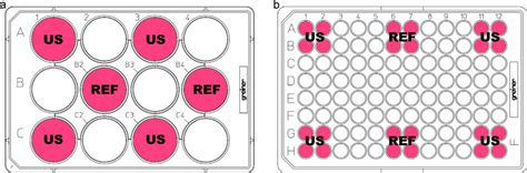 Arrangement of the filled wells. (a) 12 Well Cell Culture Plate. (b) 96... | Download Scientific ...