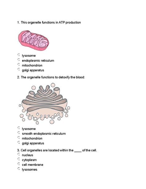 Anatomy And Physiology I Exam I Chapters Practice Questions