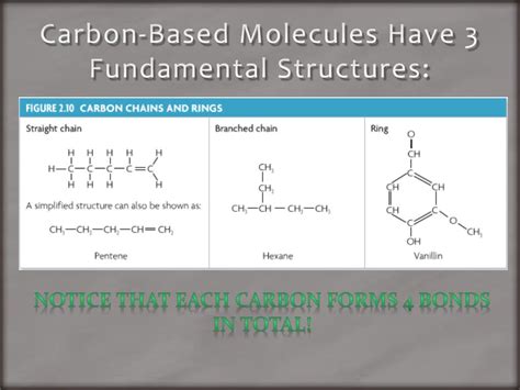 PPT - Carbon and Carbon-Based Molecules PowerPoint Presentation, free download - ID:1459599