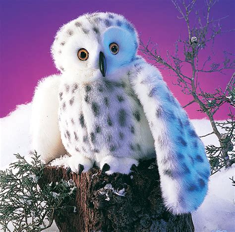 Snowy Owl Habitat Diorama