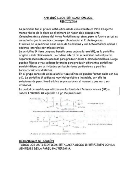 Antibióticos Betalactámicos Penicilina Medicina Y Farmacia Udocz