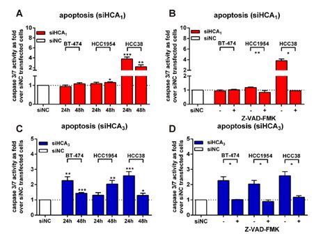 Knock Down Of Hca And Hca Induces Apoptosis In Breast Cancer Cell