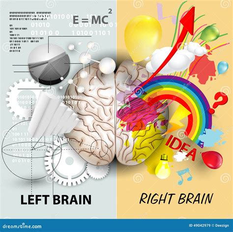 Funciones Del Cerebro Ilustraci N Del Vector Ilustraci N De