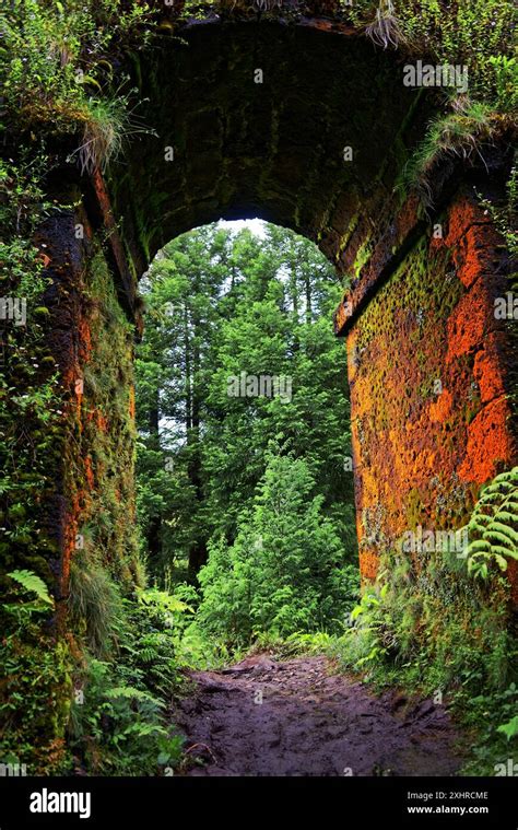 A Moss Covered Historic Aqueduct Muro Das Nove Janelas With Rustic