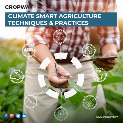 Decoding Climate-Smart Agriculture: Cultivating a Sustainable Future ...