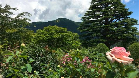 Hakone Gora Park: Best Japanese Garden near Hakone Onsen Area – RakuRakuJP