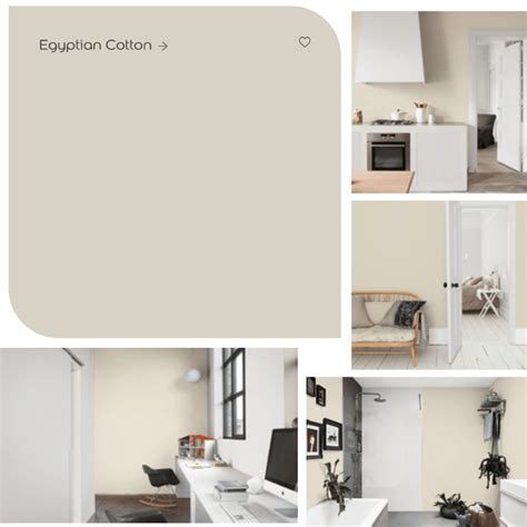 What Colour Carpet Goes With Egyptian Cotton Walls Sleek Chic