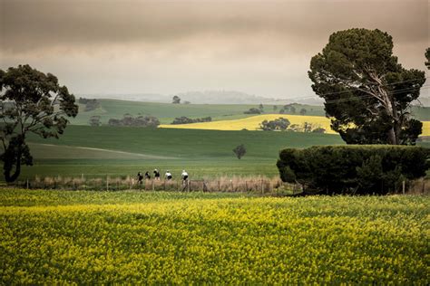 Top 10 Reasons To Visit The Clare Valley Clare Classic