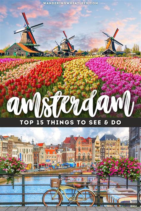 The 15 Best Things To Do In Amsterdam Artofit